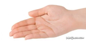Rüyada Avuç Görmek Ne Anlama Gelir?