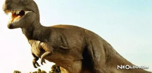 Rüyada Dinozor Görmek Ne Anlama Gelir?