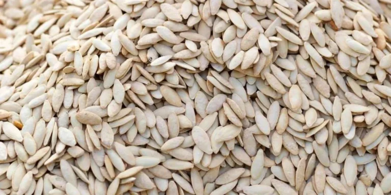 Rüyada Kabak Çekirdeği Görmek Ne Anlama Gelir?