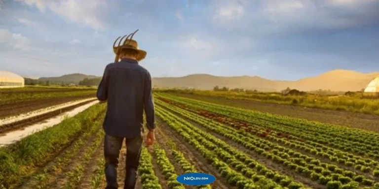 Rüyada Rençber Görmek Ne Anlama Gelir?