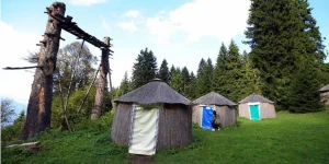 Rüyada Oba Görmek