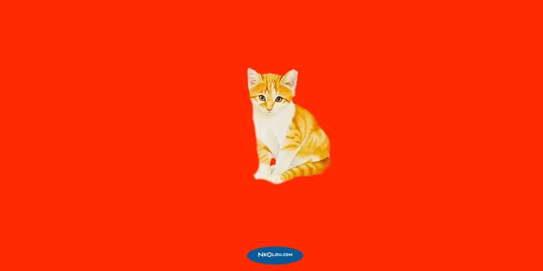 Rüyada Sarı Kedi: Şans, Sezgi ve Uyarı