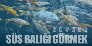 Rüyada Süs Balığı Görmek: Zenginlik mi, Hüzün mü?