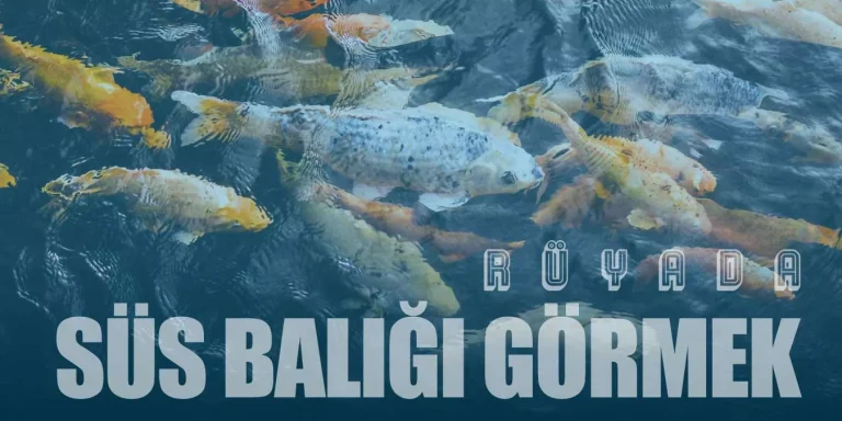 Rüyada Süs Balığı Görmek: Zenginlik mi, Hüzün mü?