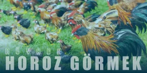 Rüyada Horoz Görmek – Beyaz ve Kırmızı Horoz Ne Demektir?
