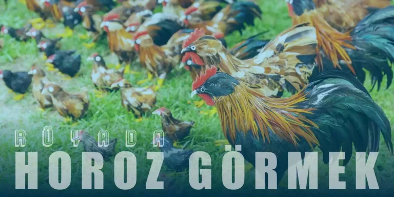 Rüyada Horoz Görmek – Beyaz ve Kırmızı Horoz Ne Demektir?