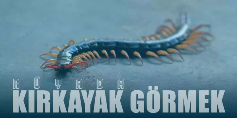Rüyada Kırkayak Görmek Ne Anlama Gelir?