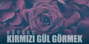 Rüyada Kırmızı Gül Görmek Ne Anlama Gelir?