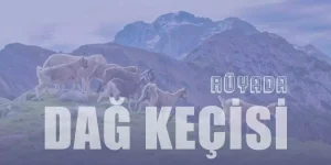 Rüyada Dağ Keçisi Görmek Ne Anlama Gelir?