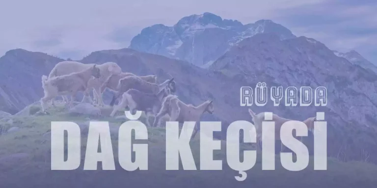 Rüyada Dağ Keçisi Görmek Ne Anlama Gelir?