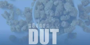 Rüyada Dut Görmek, Yemek Ne Anlama Gelir?