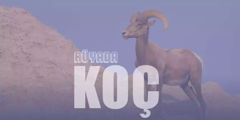 Rüyada Koç Görmek Ne Anlama Gelir?