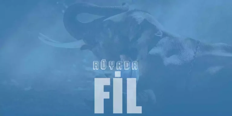 Rüyada Fil Görmek – Beyaz Fil Yavrusu Görmek Ne Demektir?