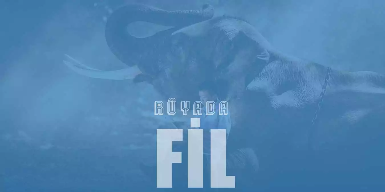 Rüyada Fil Görmek – Beyaz Fil Yavrusu Görmek Ne Demektir?