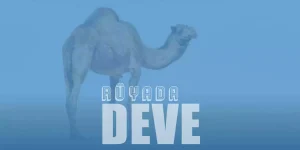 Rüyada Deve Görmek Ne Anlama Gelir?