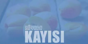 Rüyada Kayısı Görmek, Yemek Ne Anlama Gelir?