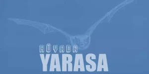 Rüyada Yarasa Görmek – Yarasa Saldırması ve Isırması Tabiri