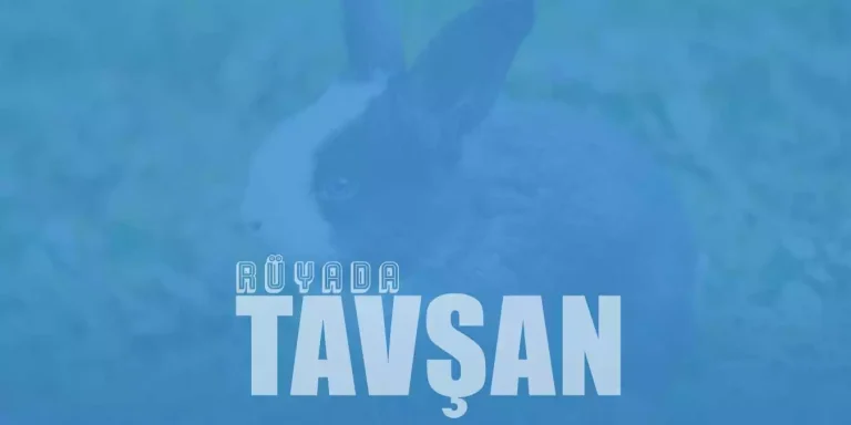 Rüyada Tavşan Görmek