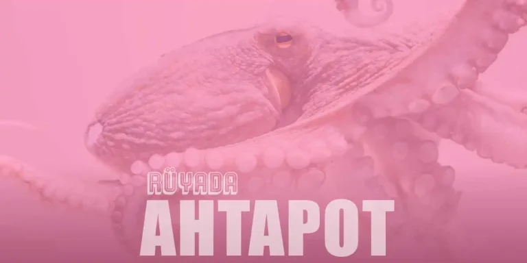 Rüyada Ahtapot Görmek – Denizde Ahtapot Görmenin Anlamı