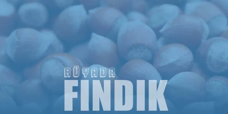 Rüyada Fındık Görmek – Kabuklu Fındık Toplamanın Rüya Tabiri