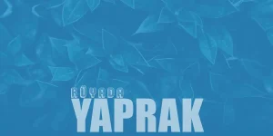 Rüyada Yaprak Görmek Ne Anlama Gelir?