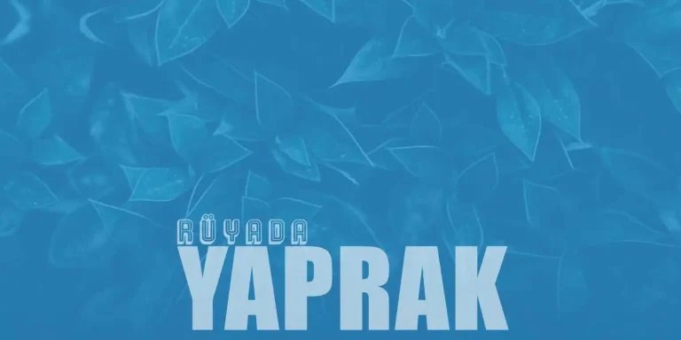 Rüyada Yaprak Görmek Ne Anlama Gelir?