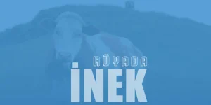 Rüyada İnek Görmek