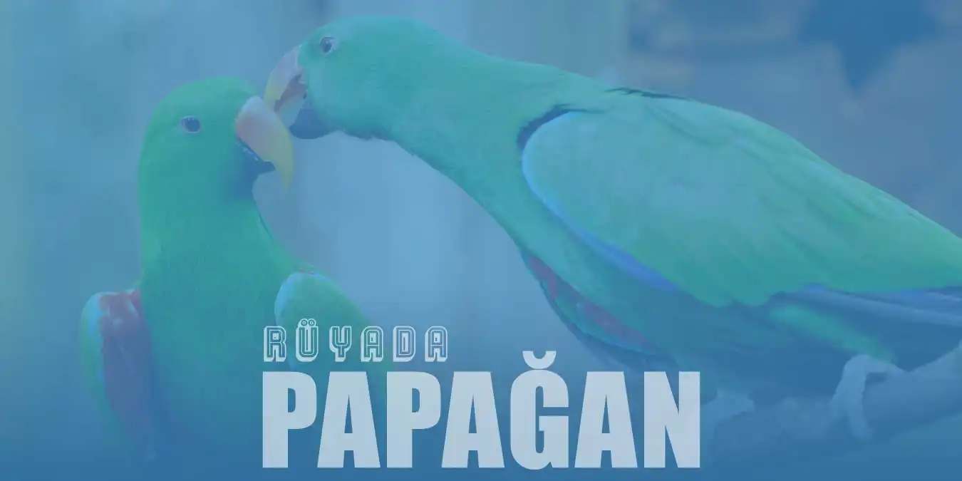 Rüyada Papağan Görmek – Yeşil ve Mavi Papağan Ne Demektir?