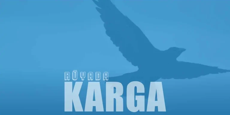 Rüyada Karga Görmek – Tabircilerin Düşman Uyarısı!