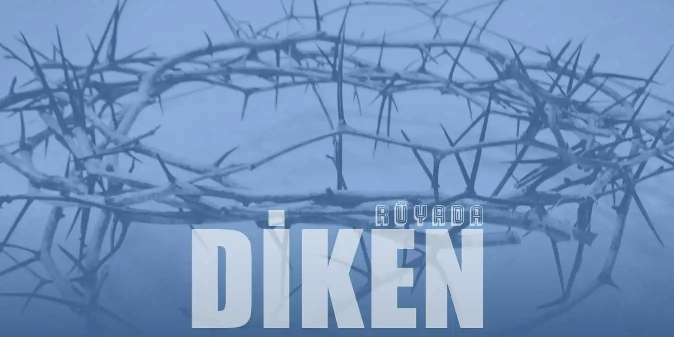 Rüyada Diken Görmek