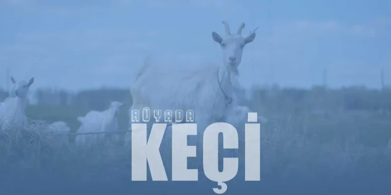 Rüyada Keçi Görmek – Siyah veya Beyaz Keçi Görmek Ne Demek?