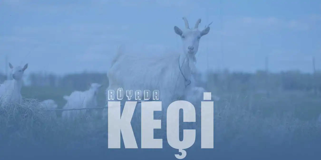 Rüyada Keçi Görmek – Siyah veya Beyaz Keçi Görmek Ne Demek?