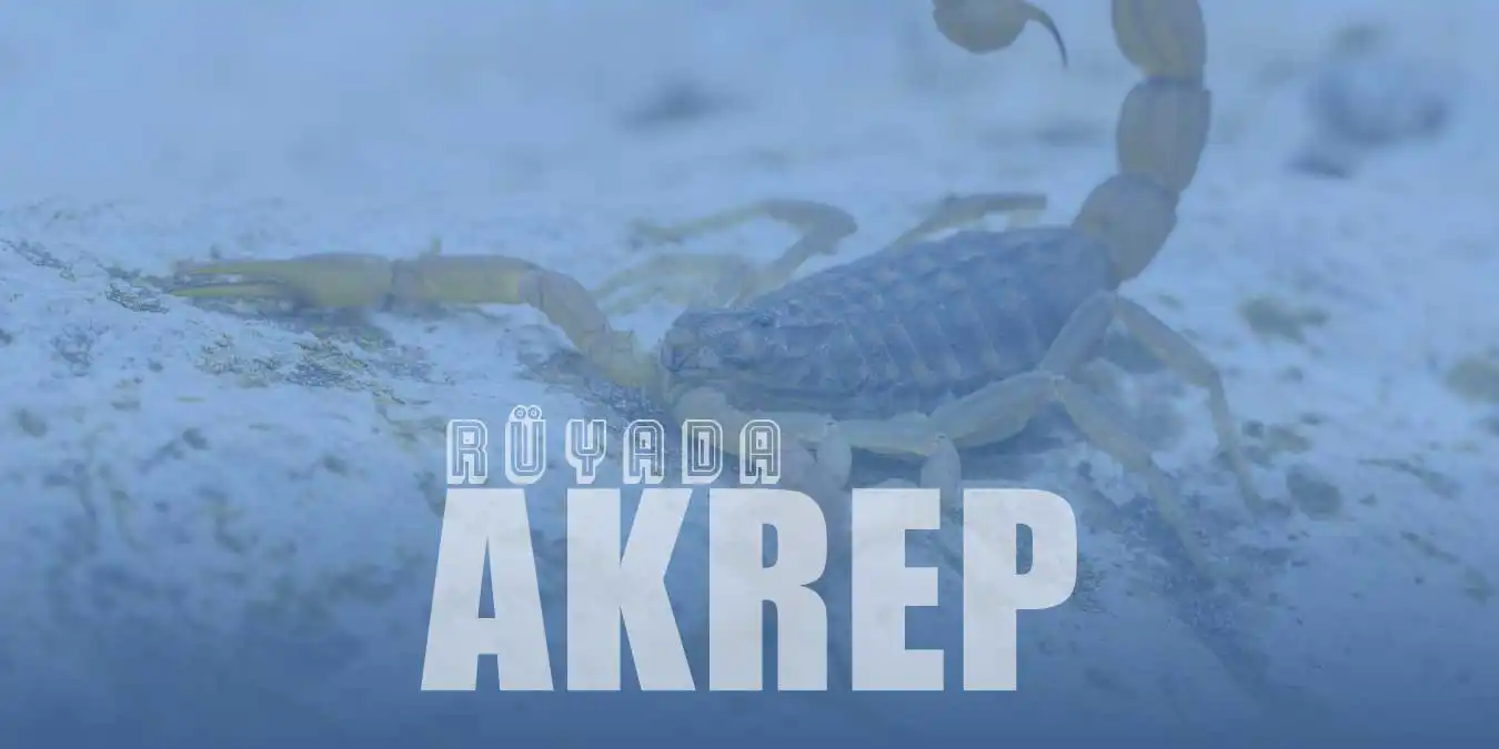 Rüyada Akrep Görmek