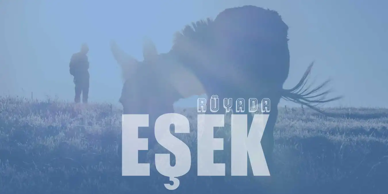 Rüyada Eşek Görmek – Siyah Eşek Görmenin Tabiri Nedir?