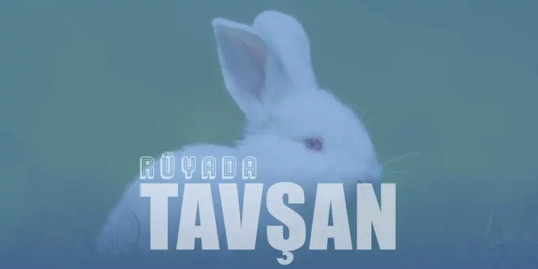 Rüyada Beyaz Tavşan Görmek