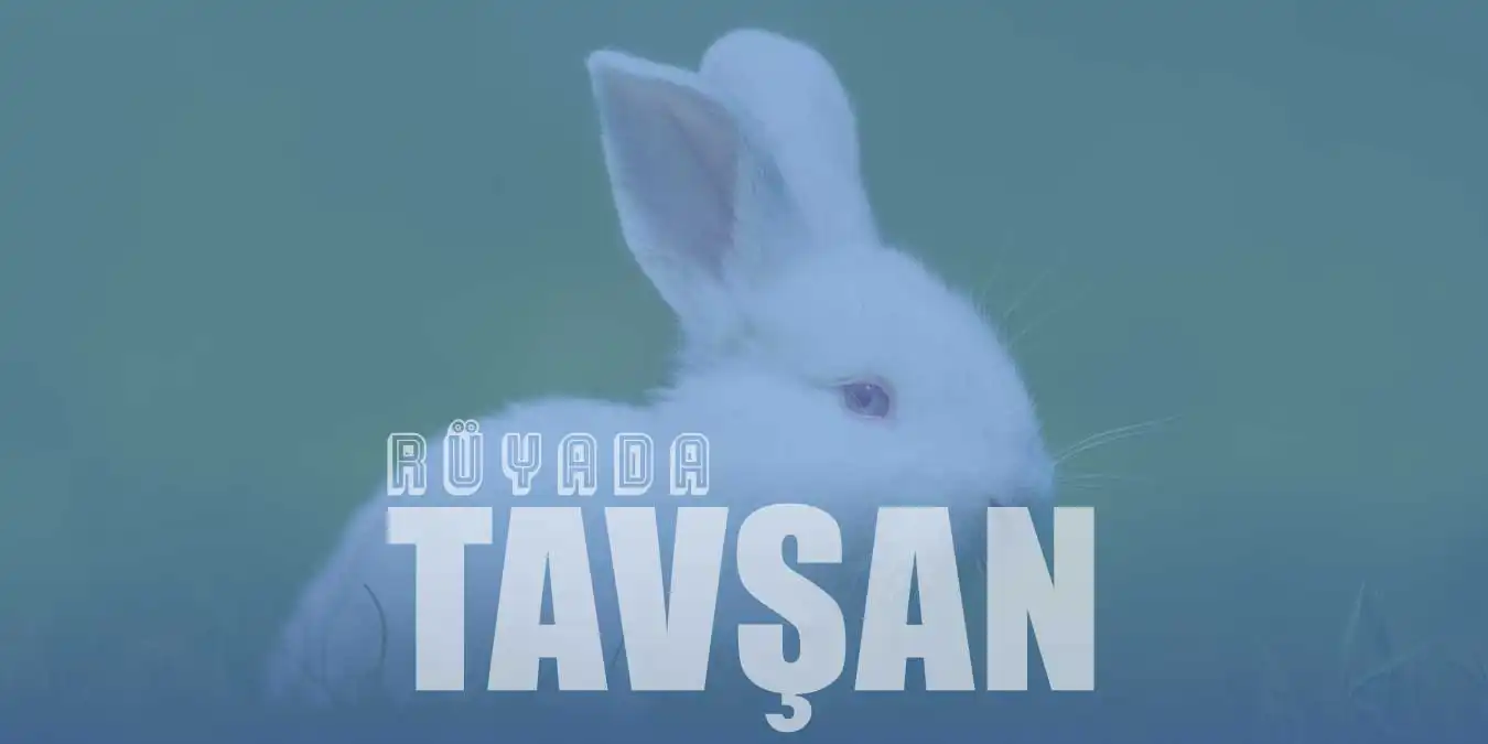 Rüyada Beyaz Tavşan Görmek