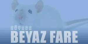Rüyada Beyaz Fare Görmek: Masumiyet ve Pozitif Değişim