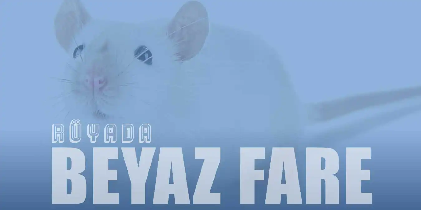 Rüyada Beyaz Fare Görmek: Masumiyet ve Pozitif Değişim
