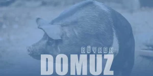 Rüyada Domuz Görmek Ne Demek? Domuz Sürüsü Görmenin Anlamı