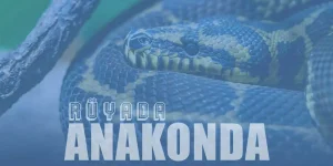 Rüyada Anakonda Yılanı: Anlamı ve Yorumları