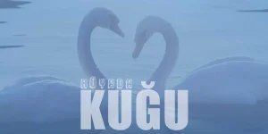 Rüyada Kuğu Görmek Ne Anlama Gelir?