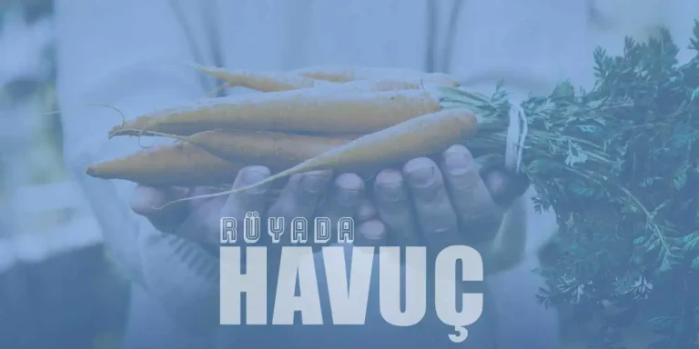 Rüyada Havuç Görmek, Yemek Ne Anlama Gelir?