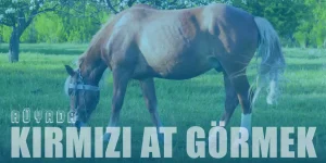 Rüyada Kırmızı At Görmek: Şans ve Başarı İşareti