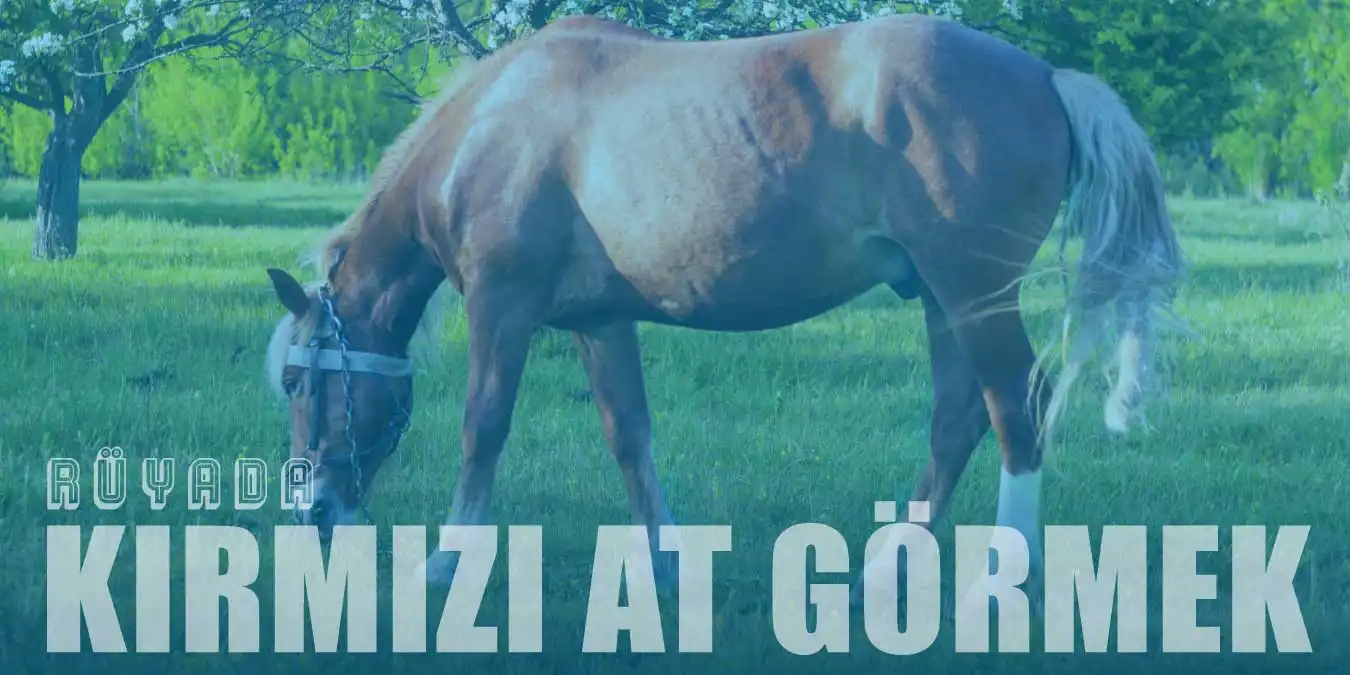 Rüyada Kırmızı At Görmek: Şans ve Başarı İşareti