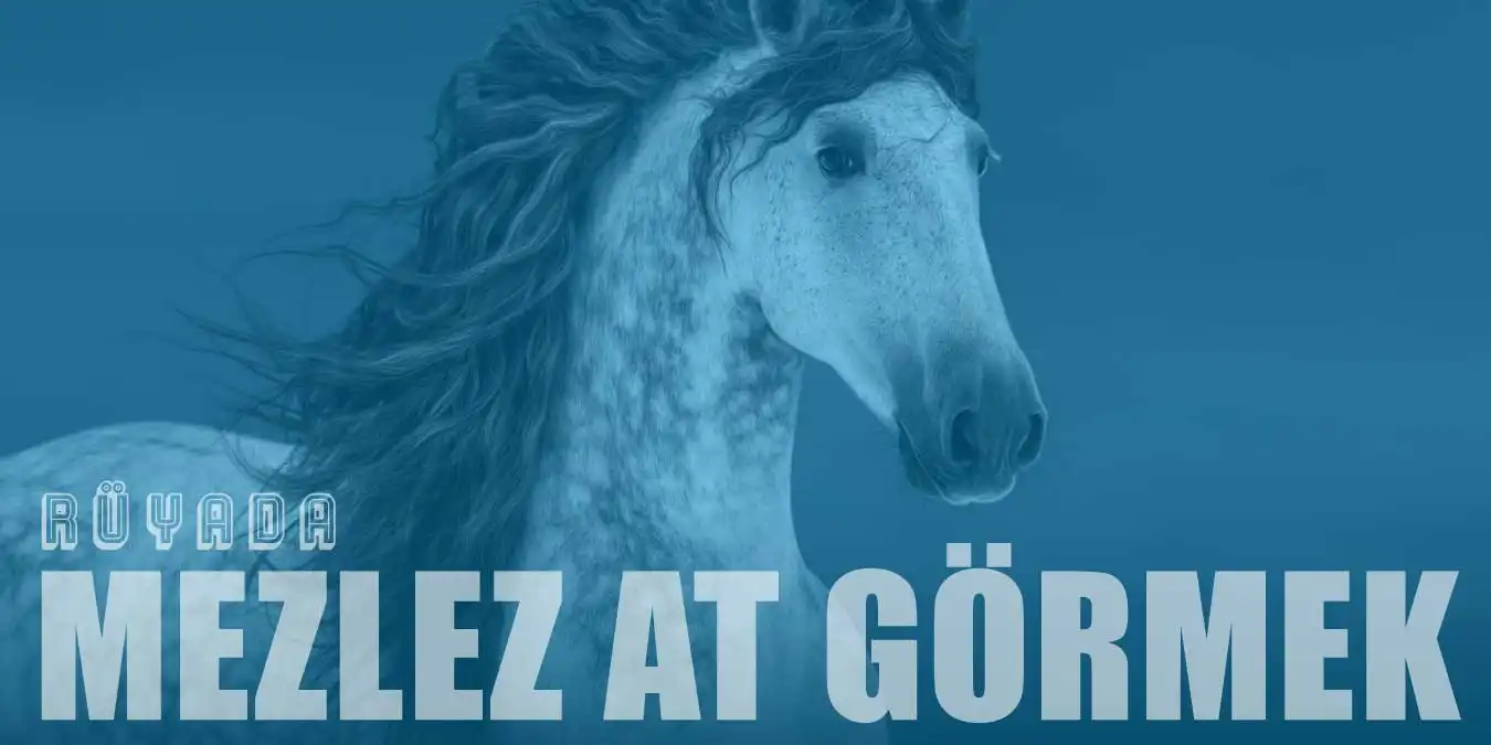 Rüyada Melez At: Şan, Şöhret ve Garip Haberler